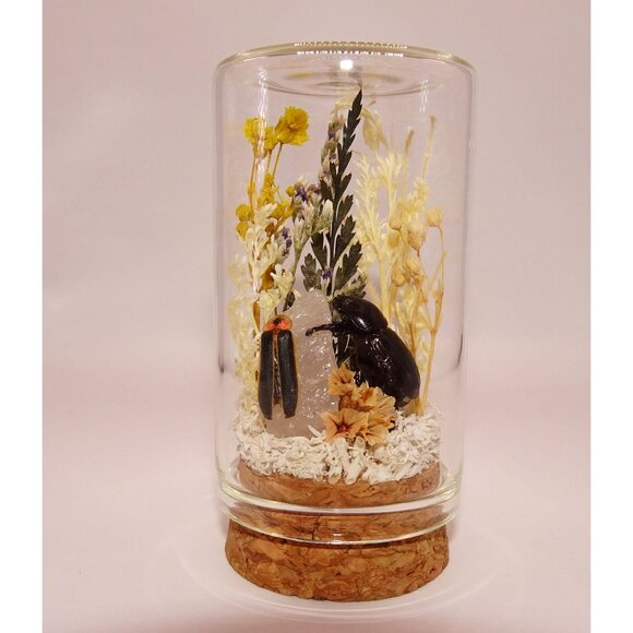 Lightning Bug Crystal & Beetle Oddity Jar Mini curiosity goth witchy nature art - Picture 1 of 12